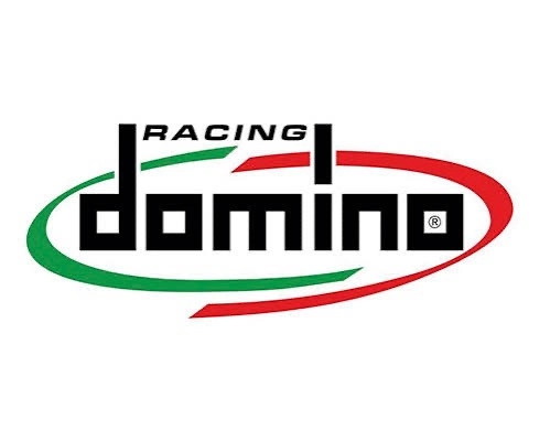 DOMINO