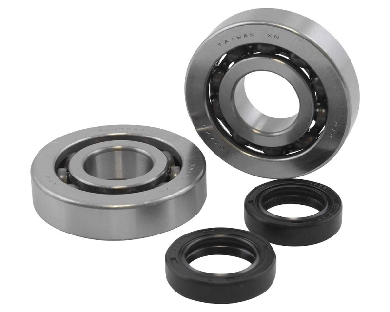 CUSCINETTI E PARAOLI