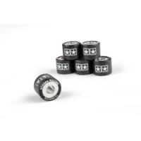 KIT 6 RULLI VARIATORE STAGE6 Ø 16x13