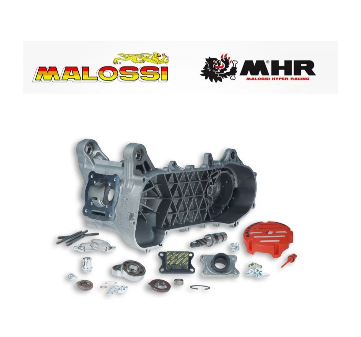 CARTER MOTORE COMPLETO MALOSSI MHR RC-ONE 94CC YAMAHA