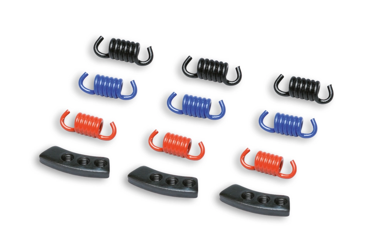 SERIE MOLLE MALOSSI MHR PER FRIZIONI DELTA E FLY CLUTCH