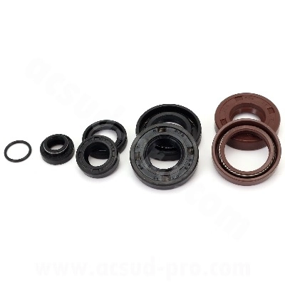KIT PARAOLI MOTORE SPECIAL STRONG IN VITON – TOP QUALITY – MINARELLI AM6